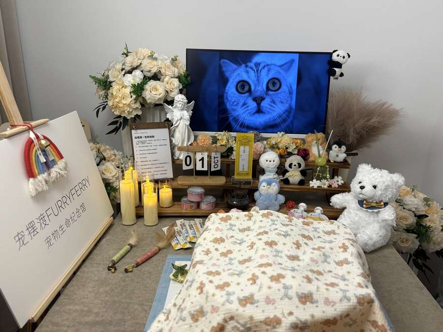石家庄宠物告别厅