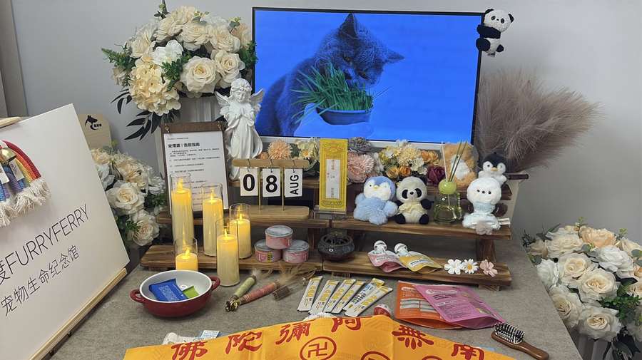 石家庄宠物单独火化